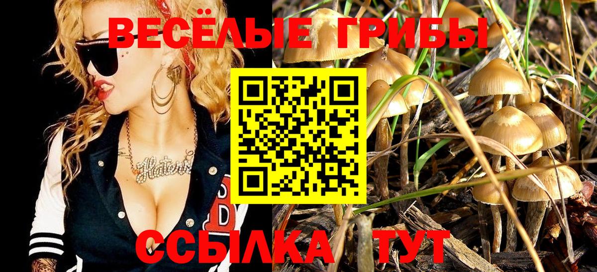 Псилоцибиновые грибы ЛСД Троицк